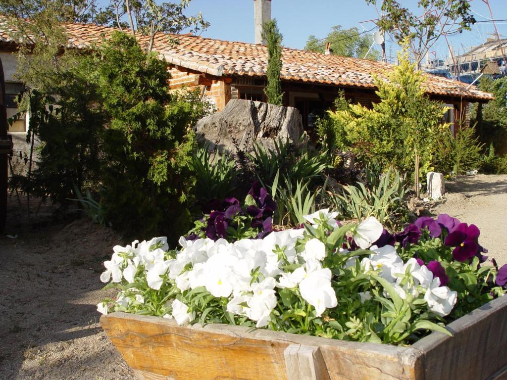 Hospedium Hacienda Las Cavas Olmedo Exteriér fotografie